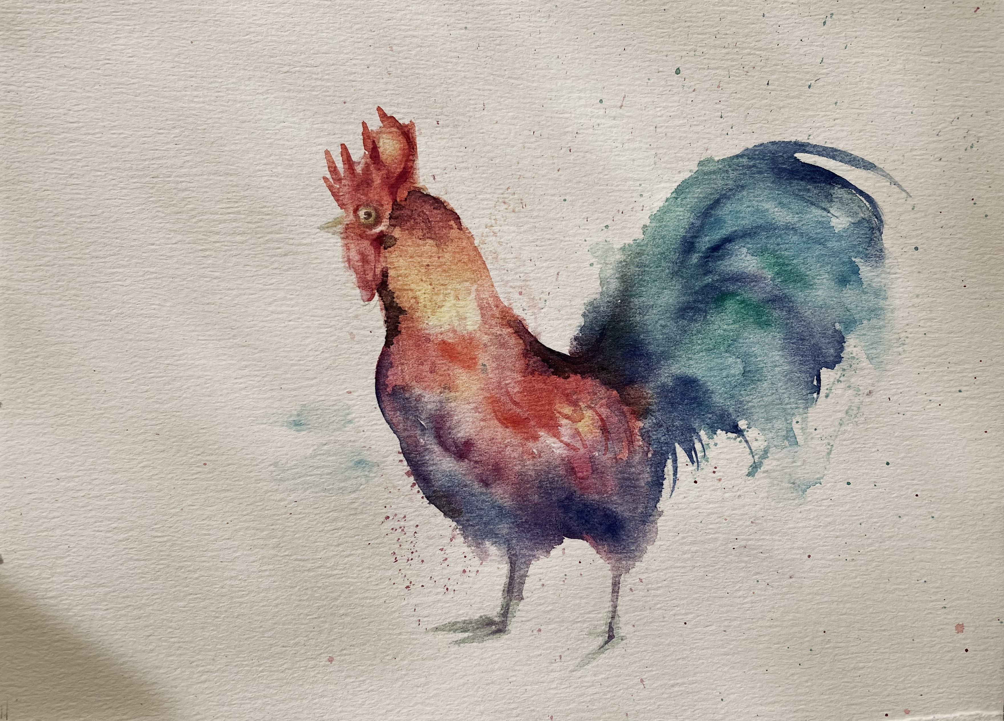 Other Commissions